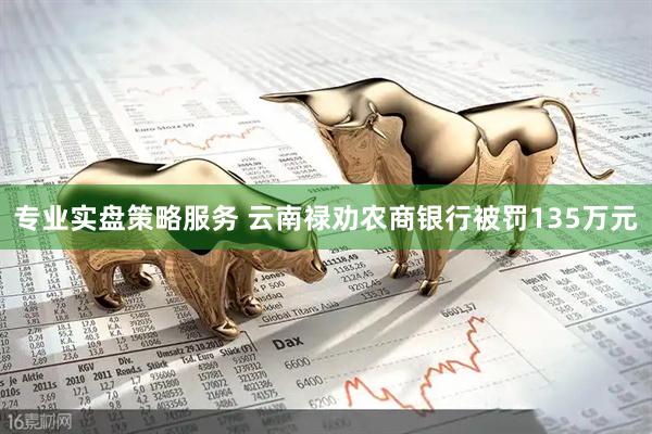 专业实盘策略服务 云南禄劝农商银行被罚135万元