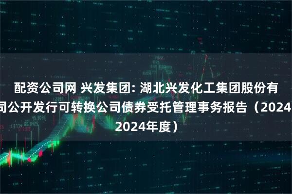 配资公司网 兴发集团: 湖北兴发化工集团股份有限公司公开发行可转换公司债券受托管理事务报告（2024年度）